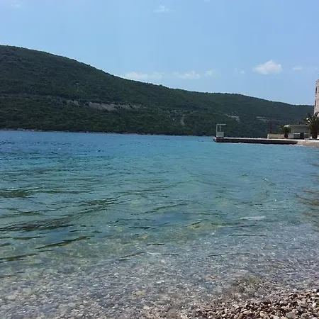 Mimosa Neum